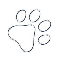 dog paw